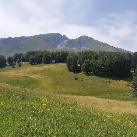 Durmitorski Konak Zabljak  Luaran gambar