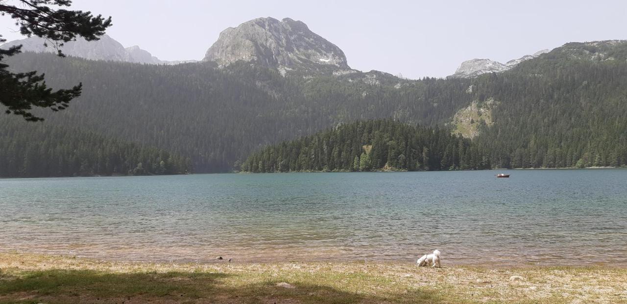 Durmitorski Konak Zabljak  Luaran gambar