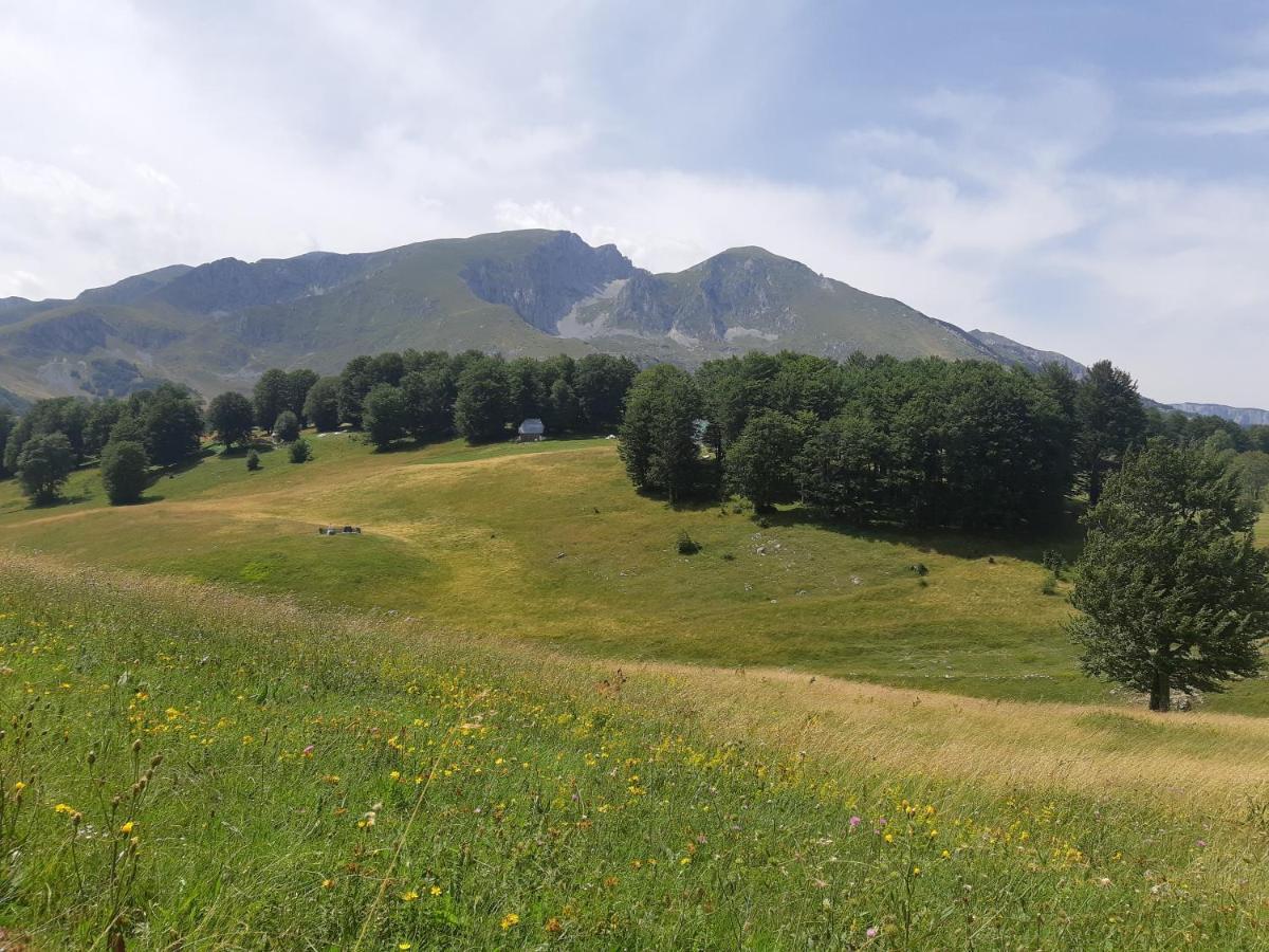 Durmitorski Konak Zabljak  Luaran gambar