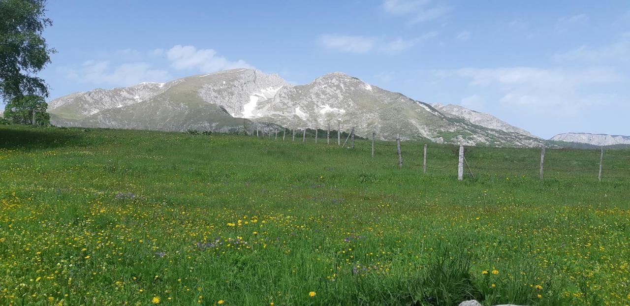 Durmitorski Konak Zabljak  Luaran gambar